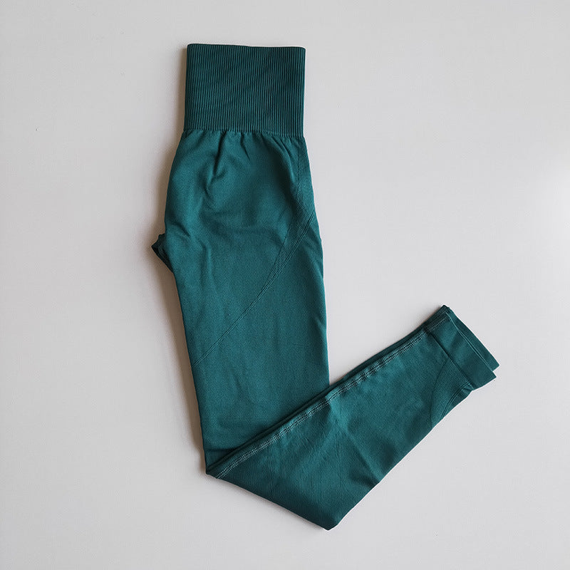 Zypo Sculpt Fitness Yoga Bra And Pants