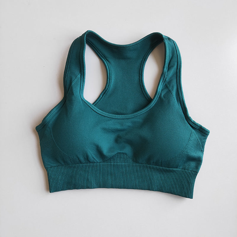Zypo Sculpt Fitness Yoga Bra And Pants